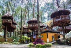 Keren Banget, Ini 19 Rekomendasi Wisata di Semarang yang Wajib Dikunjungi