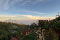 The Nature Bromo, Destinasi Seru di Lereng Gunung Bromo dengan Wahana Ekstrem dan Pemandangan Spektakuler