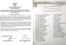 Kikim Area Masuk Daftar DOB Layak Mekar