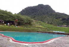 Desa Melung, Surga Tersembunyi di Banyumas! Kolam Renang di Tengah Sawah Bikin Wisatawan Takjub