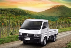 Suzuki New Carry, Solusi Tepat untuk Usaha yang Membutuhkan Kesegaran Produk