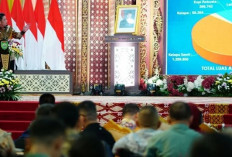 Perkebunan Tulang Punggung Ekonomi Sumsel