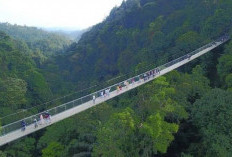 Ini Sukabumi Hadirkan Destinasi Wisata Terbaru yang Menakjubkan
