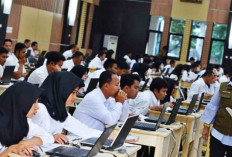 PPPK 2024 Tahap 2: Cek Jadwal Tes dan Bocoran Kisi-Kisi Soal Tenaga Teknis BKN