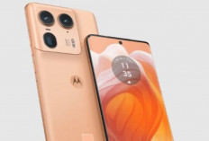 Motorola Edge 50 Ultra Jadi Oase di Tengah Tren Smartphone Seragam 2026