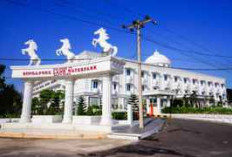 Ini 4 Rekomendasi Hotel di Banyuasin