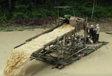 5 Tambang Emas Terbesar di Pulau Sumatera