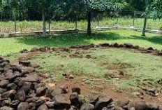 Ini 5 Misteri Daerah Lampung Timur yang Menyimpan Banyak Rahasia