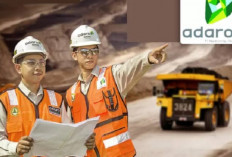 PT Adaro Energy Indonesia Tbk Membuka 42 Posisi Baru untuk Karier di Dunia Pertambangan