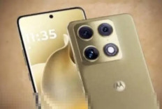 Motorola Signature Resmi Dijual di India, Spek Gahar, Update 7 Tahun, Layanan Asisten Pribadi Gratis