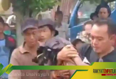 Siswi SD yang Hanyut di Sungai Ayek Lintang Berhasil Ditemukan, Sayangnya Nyawa Tak Tertolong