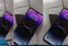 Rekomendasi HP Kamera Terbaik Harga Rp2-3 Jutaan, Cocok untuk Konten dan Selfie!