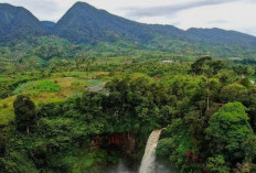 7 Tempat Wisata Terpopuler di Jambi, Surga Tersembunyi di Sumatera yang Wajib Kamu Jelajahi!