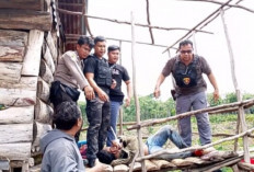 Polisi Berhasil Selamatkan Korban Sandera Dikebun Kopi 