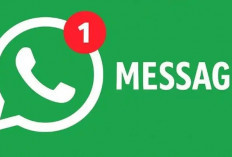 Cara Mudah Ganti Nada Dering WhatsApp Pakai Lagu, Suara Google, hingga Rekaman Sendiri