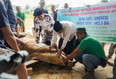 Warga Muba Sembelih Sapi Presiden