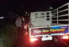 Viral Truk Bermuatan Durian Terguling di Lampung Dijarah Warga