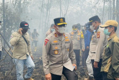 Kapolda Sumsel Tinjau Lokasi Kebakaran Lahan Gambut Seluas 10 Hektar di Lempuing Jaya, OKI