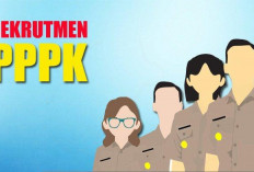 PPPK 2025 Kapan Dibuka? Ini Penjelasan Resmi dari BKN dan Kemenpan-RB