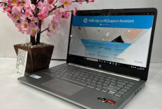 Laptop 5 Jutaan Terbaik Agustus 2025, Solusi Andalan Mahasiswa Kejar Skripsi