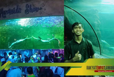 Burung, Lumba-lumba, dan Mermaid! Yuk Intip Serunya Wisata Edukatif di Ancol!