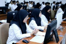 Format Seleksi PPPK 2025 Berubah Total, Jalur Khusus Honorer Dihapus Mulai Tahun Depan!