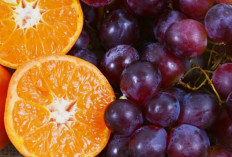 12 Manfaat Buah Anggur bagi Tubuh, Jaga Kesehatan Otak