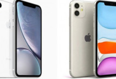 iPhone Murah dan Berkualitas 2025: Dari iPhone 6 sampai XR Mulai Rp1,5 Juta