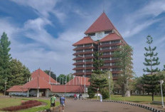 UI Buka Pendaftaran Beasiswa PMDSU 2025 untuk Program S2-S3 dalam 4 Tahun