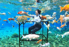 Liburan Lebaran 2025 di Umbul Ponggok Klaten: Nikmati Underwater Walk hingga Diving dengan Tarif Terjangkau