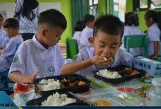 Anggaran Pendidikan Tergerus untuk Makan Bergizi Gratis, JPPI Peringatkan Ancaman Jutaan Anak Putus Sekolah