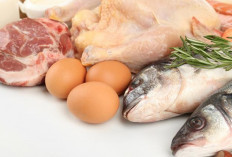 Antara Ayam dan Ikan, Mana yang Lebih Sehat sebagai Lauk?