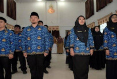 Ribuan CPNS Mundur, Sanksi Berat Menanti: Dilarang Ikut Seleksi ASN Selama 2 Tahun!