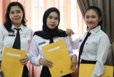 Gaji PPPK Paruh Waktu Lulusan SMA: Peluang Kerja dengan Gaji Menjanjikan