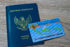 Rincian Tarif Terbaru Pembuatan Paspor Tahun 2025: Sesuai PP Nomor 45 Tahun 2024