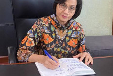 Sri Mulyani Terbitkan Aturan Baru! Kepala Daerah Bisa Periksa Pajak Langsung