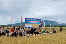 Wakil Bupati Soroti Pentingnya Ketahanan Pangan di Lahat