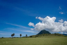 Padang Mau Sui, Surga Tersembunyi di Manggarai Timur yang Menawarkan Ketenangan dan Keindahan Alam