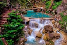 7 Rekomendasi Wisata Alam di Jogja yang Wajib Dikunjungi