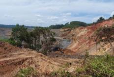 Banyak yang Nggak Tau, Ternyata Bengkulu Memiliki Tambang Sebesar Ini! Ada Apa Aja?