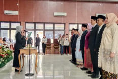 BZ-WIN Gerakkan Roda Birokrasi