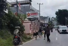 Baku Tembak Pelaku Curanmor dengan Polisi di Bandar Lampung