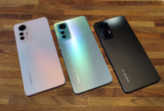 Xiaomi 12 Lite Resmi Jadi Primadona Baru, Spesifikasi Gahar Harga Bersahabat