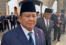 Mulai Januari 2025, Presiden Prabowo Setujui Bantuan Pangan Beras 10 Kg Selama 6 Bulan