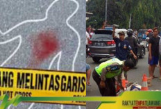 Tragedi di Jalan Gajah Mada: Pejalan Kaki Tewas Ditabrak Ojek Online yang Menerobos Lampu Merah