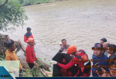 BPBD Empat Lawang Evakuasi Korban Hanyut di Sungai Musi, Ditemukan di Hari Kedua Pencarian
