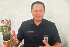 Forum Sawit Minta Petani Tetap Tenang