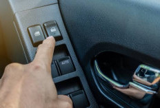 Begini Cara Merawat Power Window Mobil Agar Tidak Cepat Rusak, Cukup Modal Kuas dan Silicone Spray!