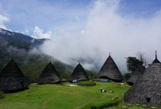 Wae Rebo Kembali Dibuka! Negeri di Atas Awan Siap Sambut Wisatawan Lagi