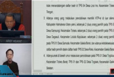 Putusan MK: Pilkada Barito Utara Harus PSU di 2 TPS, KPU Diperintahkan Segera Bertindak!